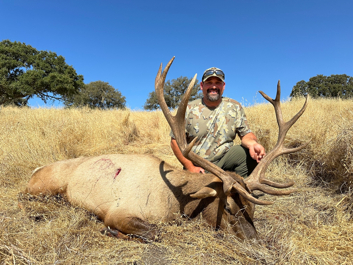 Affordable Tule Elk Hunts